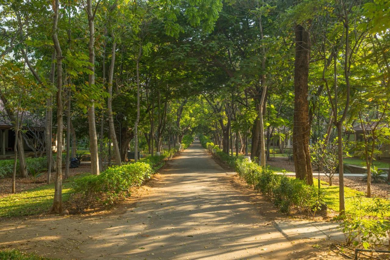 Heritage Madurai Eksteriør billede A road in the park